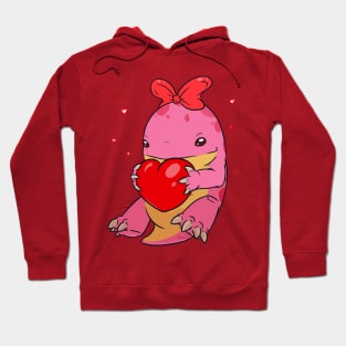 Quaggan with heart Hoodie